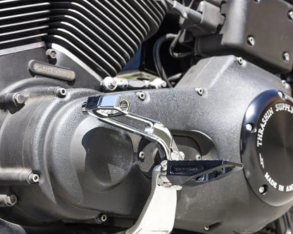 THRASHIN SUPPLY CO. P-54 Shifter Peg – Chrome