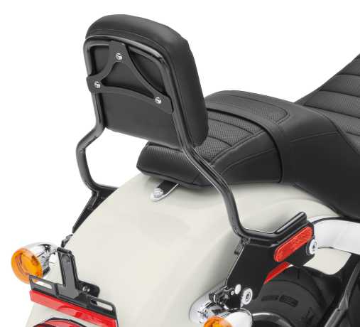 Sissy Bar Upright Standard Height sort