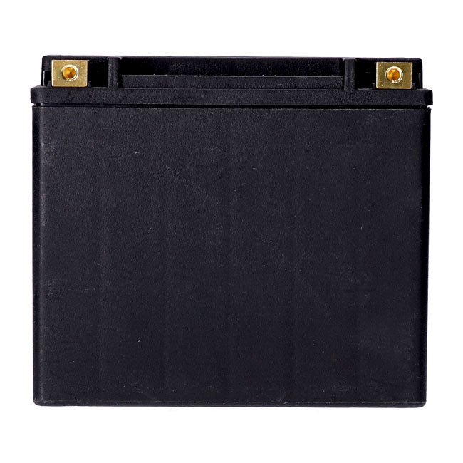 MCS, Standard Series - AGM lukket batteri. 12v, 20ah. 320cca