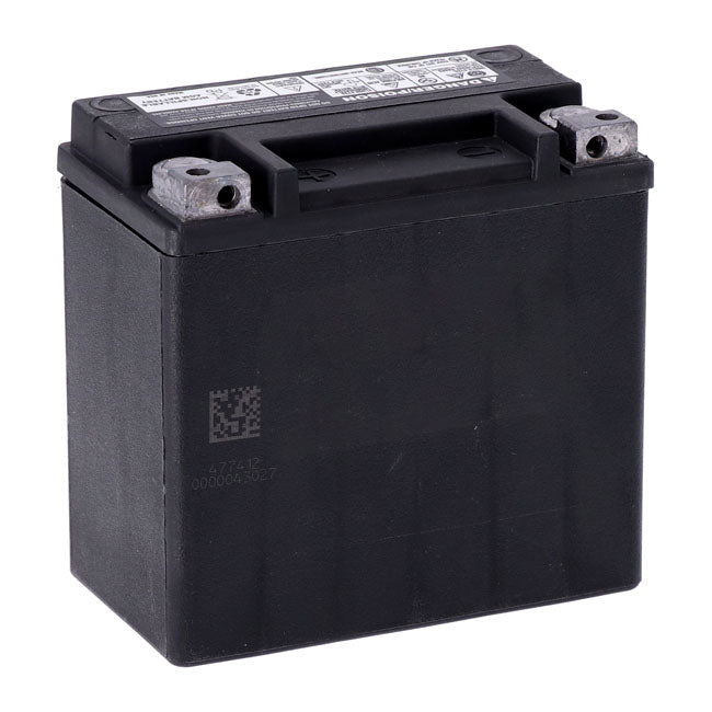 MCS Advance Series – AGM Sealed Battery (12V / 12Ah / 220 CCA)